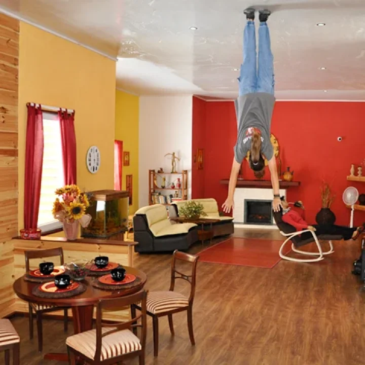 zjawiskoland-regiel-dom-do-góry-nogami